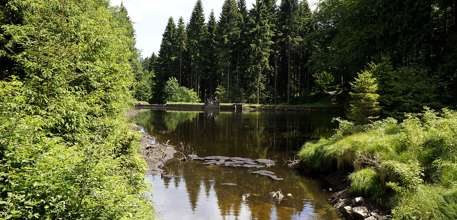 am Rungstockbach