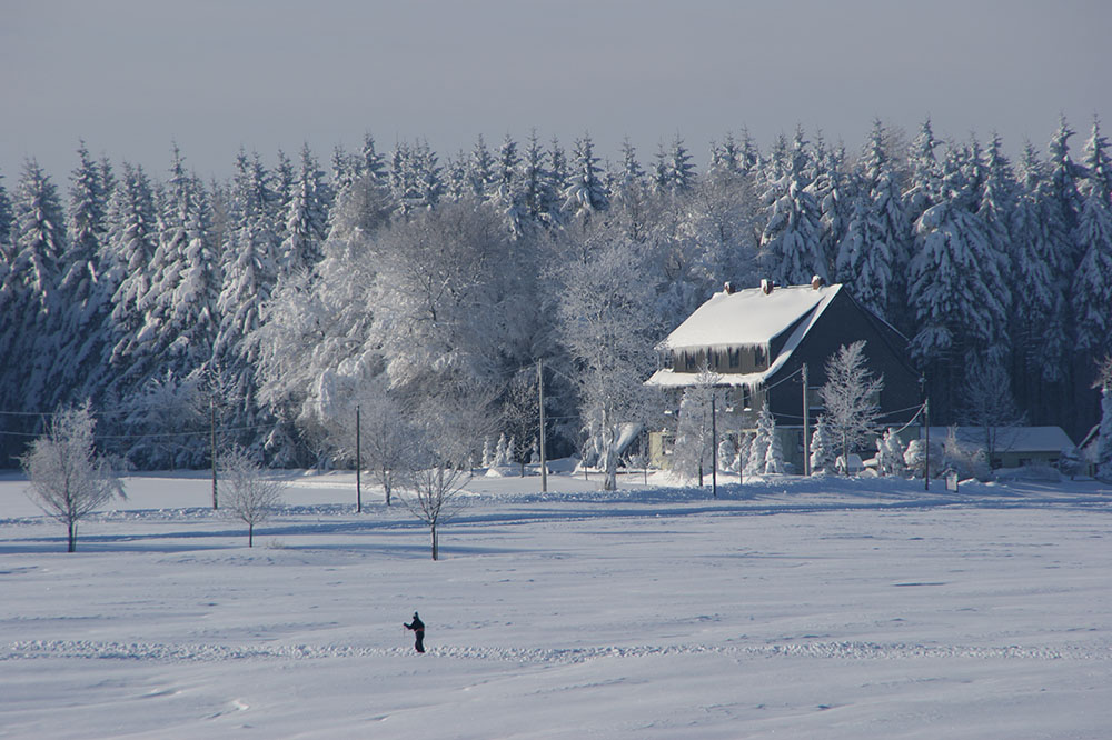 Skifahren Loipen Winterlandschaft